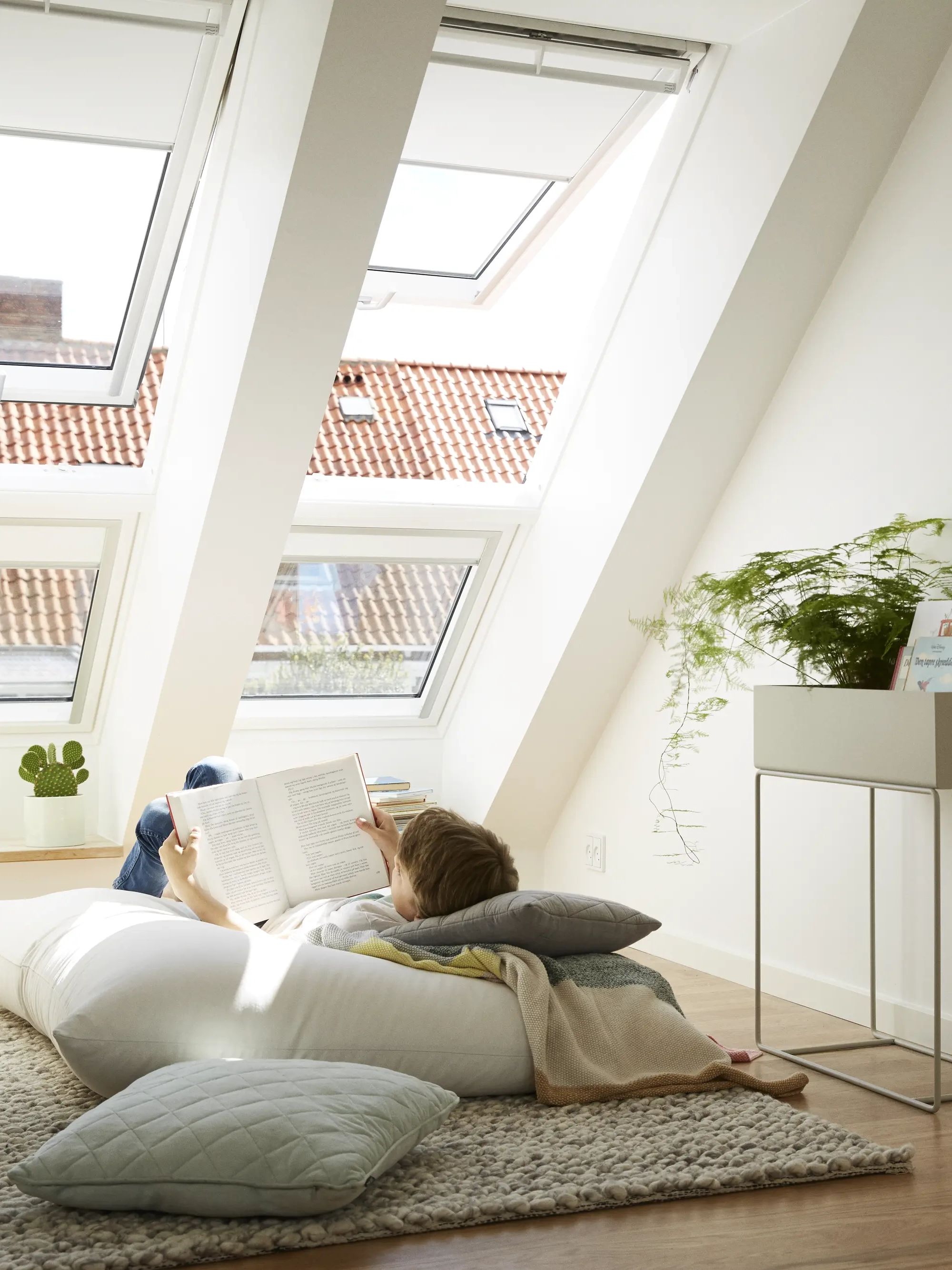 Dachfenster & Licht Baustoffe Großhandel